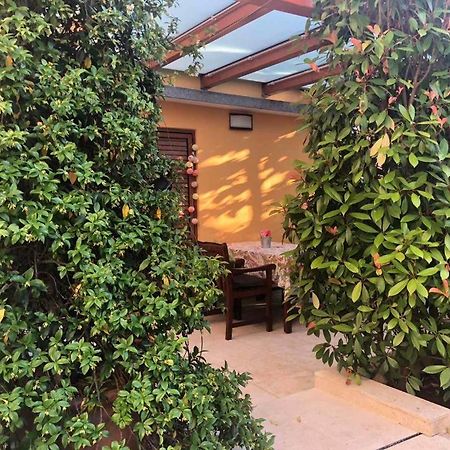 Villa Dolores Rovinj Zewnętrze zdjęcie