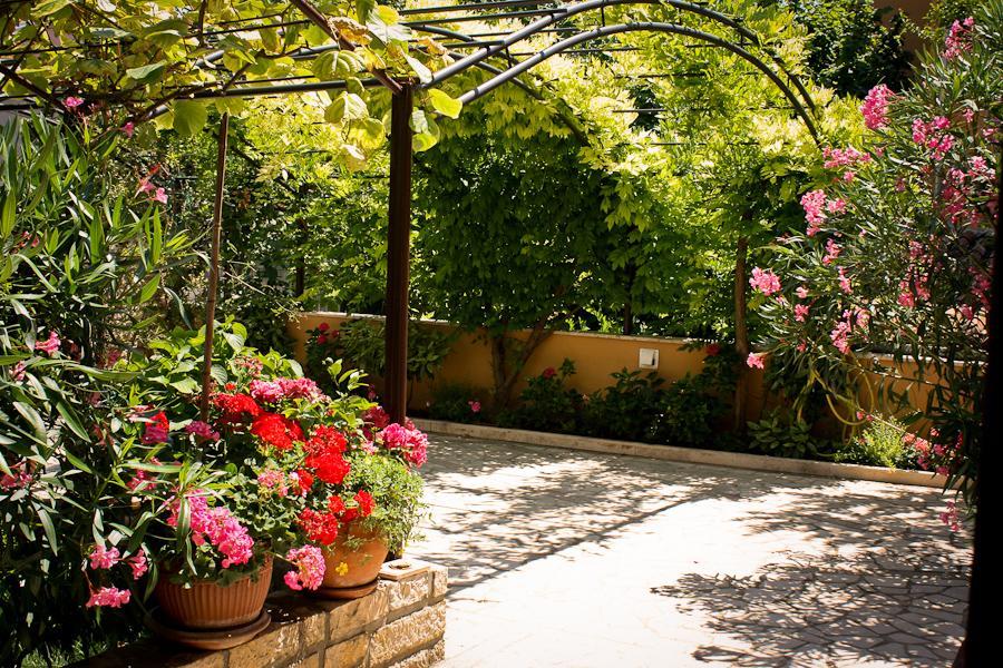 Villa Dolores Rovinj Zewnętrze zdjęcie